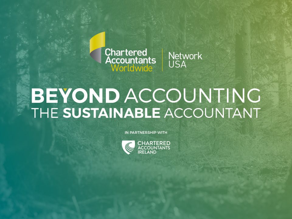 Beyond Accounting – The Sustainable Accountant