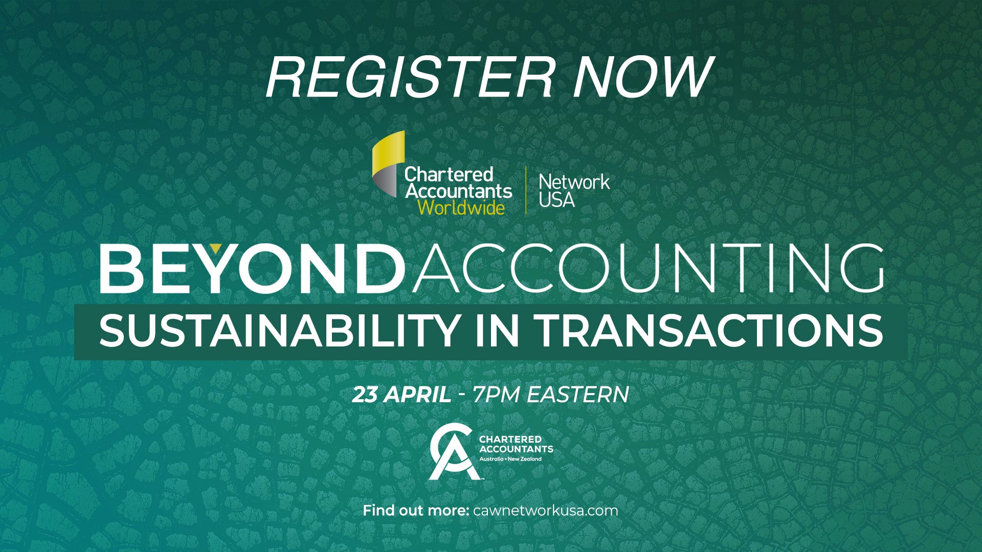 Beyond Accounting: Sustainability in Transactions