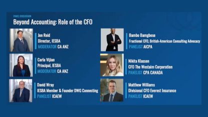 role of a ceo