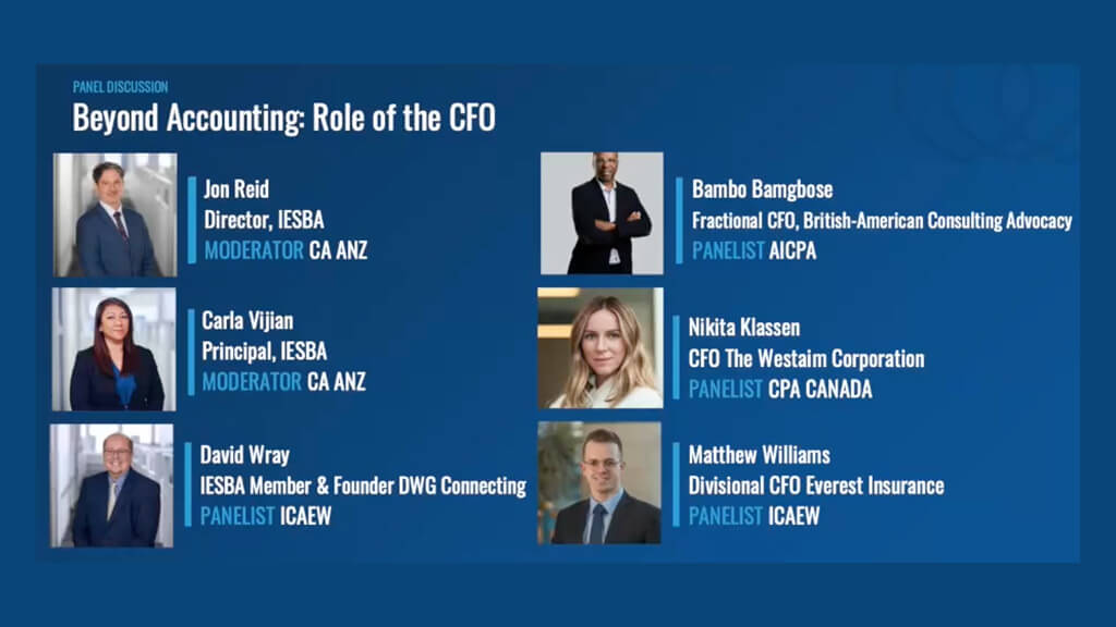 role of a ceo
